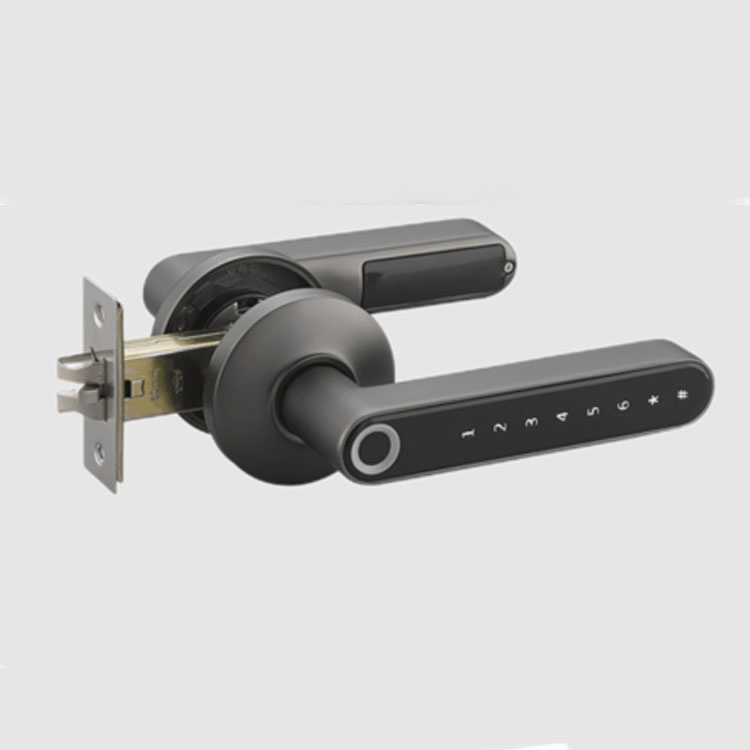Smart Password Bluetooth-Compatible Lock with Mechanical Key for Indoor Wooden Metal Door