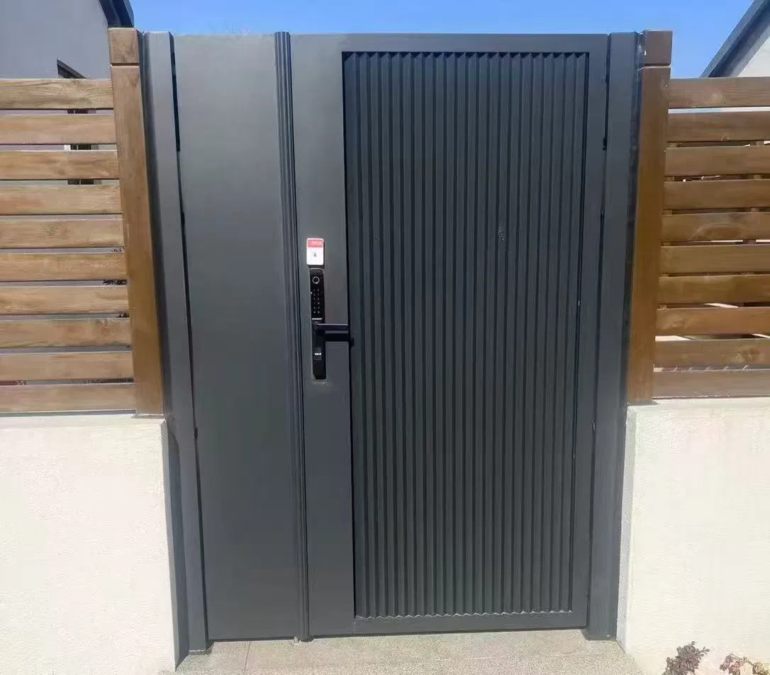 Metal Window Stylish Aluminum Art Door with Customizable Designs for Sale