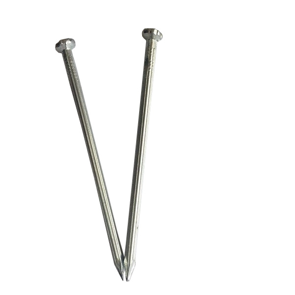 Hardware Fastener Electro Galvanized Steel Concrete Nails 3.0mm*40mm