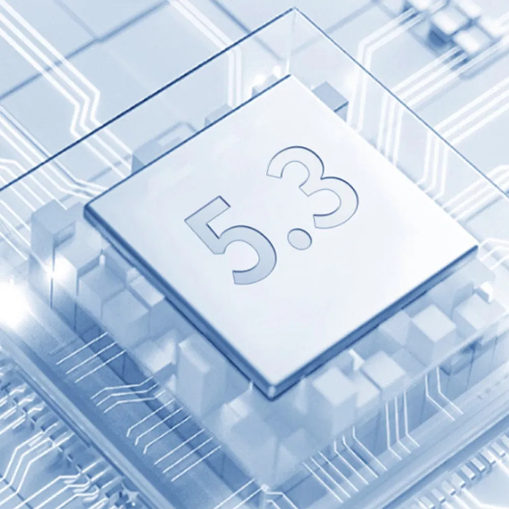 Premium Sleep Earbuds Model Gt-We-T256 with 10 Meter Transmission Earphone