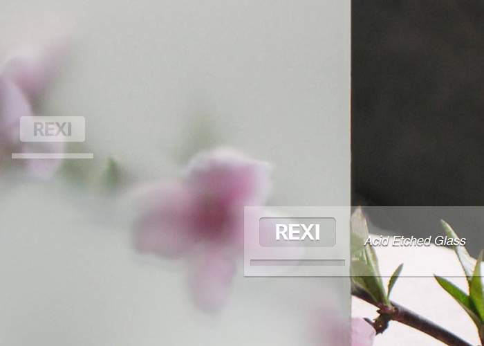 Elegant Frosted Glass Vases for Beautiful Floral Displays