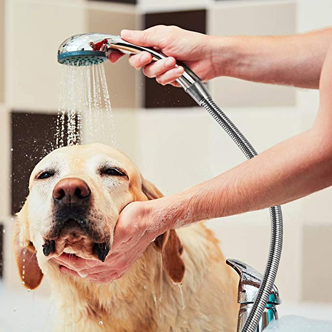 Shower Hose with Brass Fittings Chromed Handheld Shower Head Hose