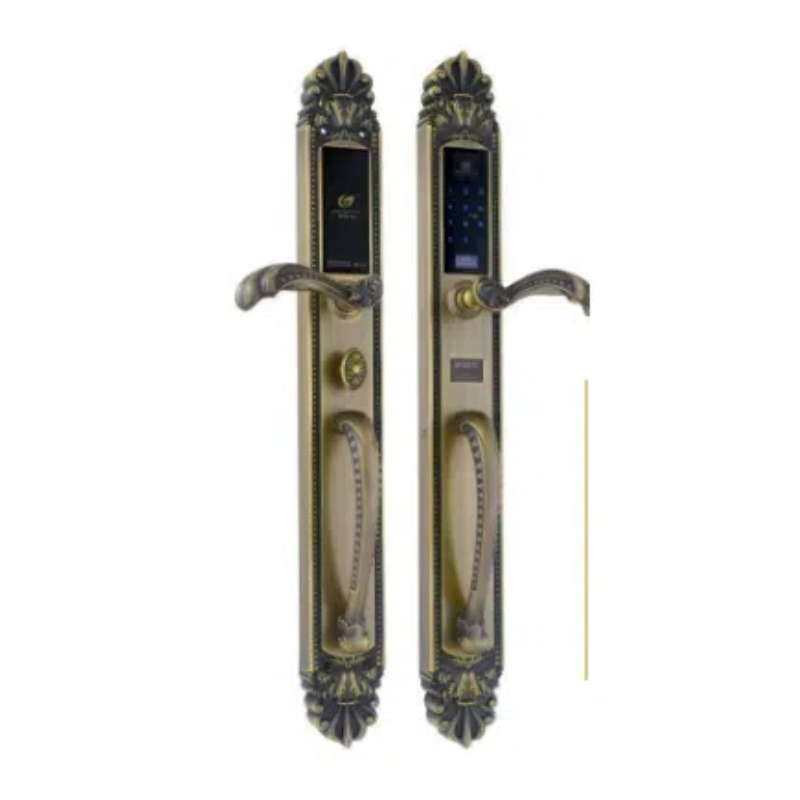 Luxury Fingerprint Electronic Combination Smart Door Lock