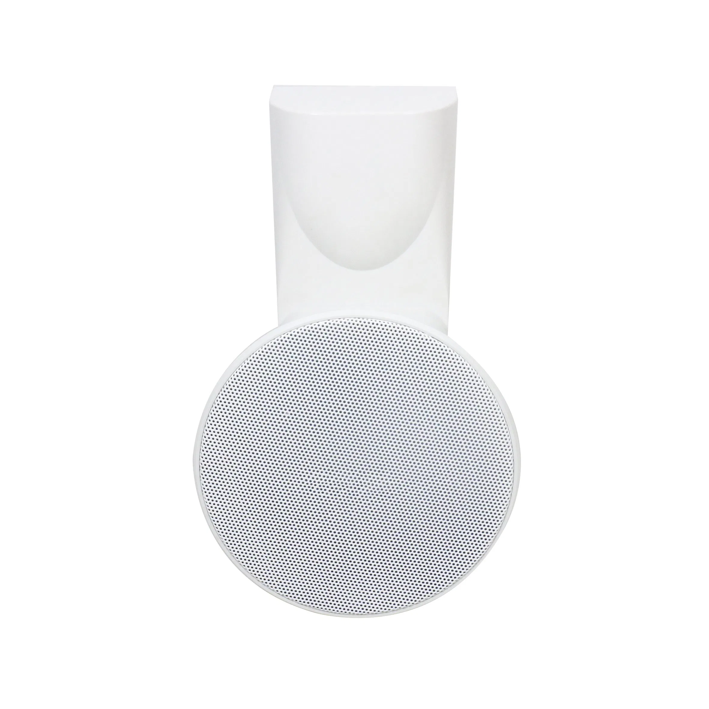 Потолочный динамик CT-210, 2.5 дюйма, 10Вт, 0.4кг