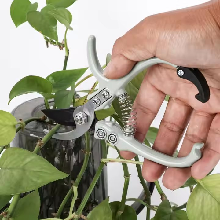 Bonsai Professional Pruning Shears Precision Cutter for Home Gardening and Plant Care