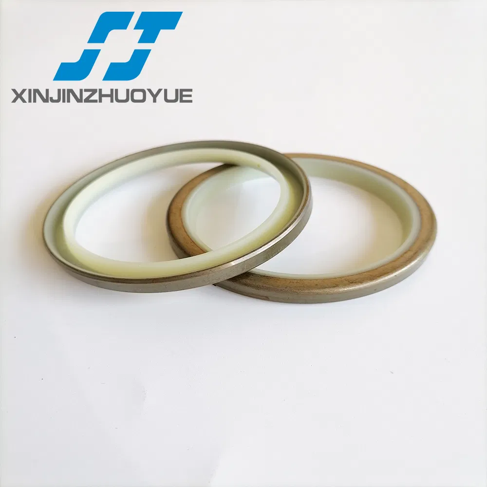 Sj Brand Hydraulic Dkbi, Dkb, Dkbz, Dli, Ga, Vay Metal Dust Seal and Wiper Seal