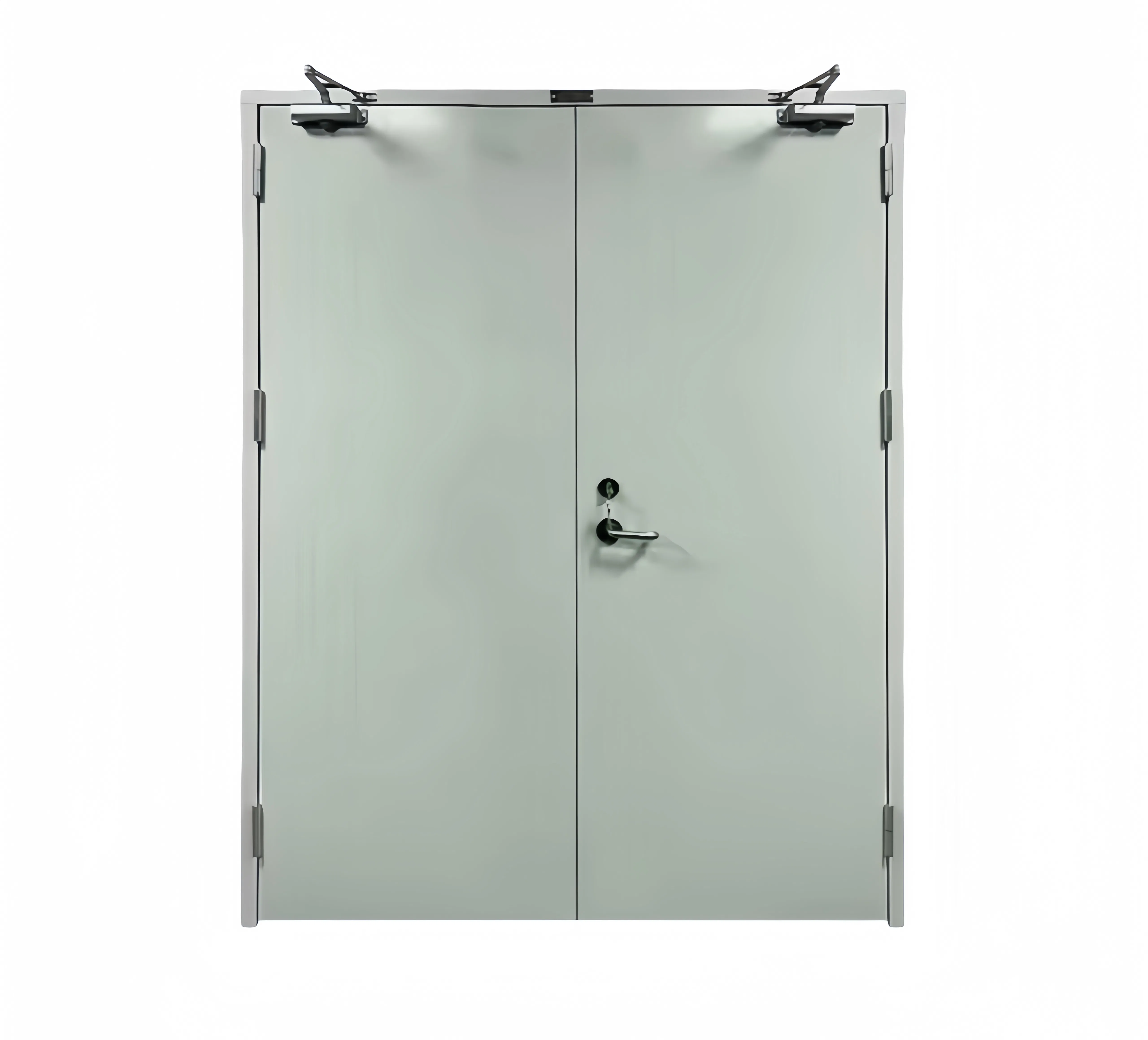 Premium Thermal Insulated Steel Door for Luxury Homes