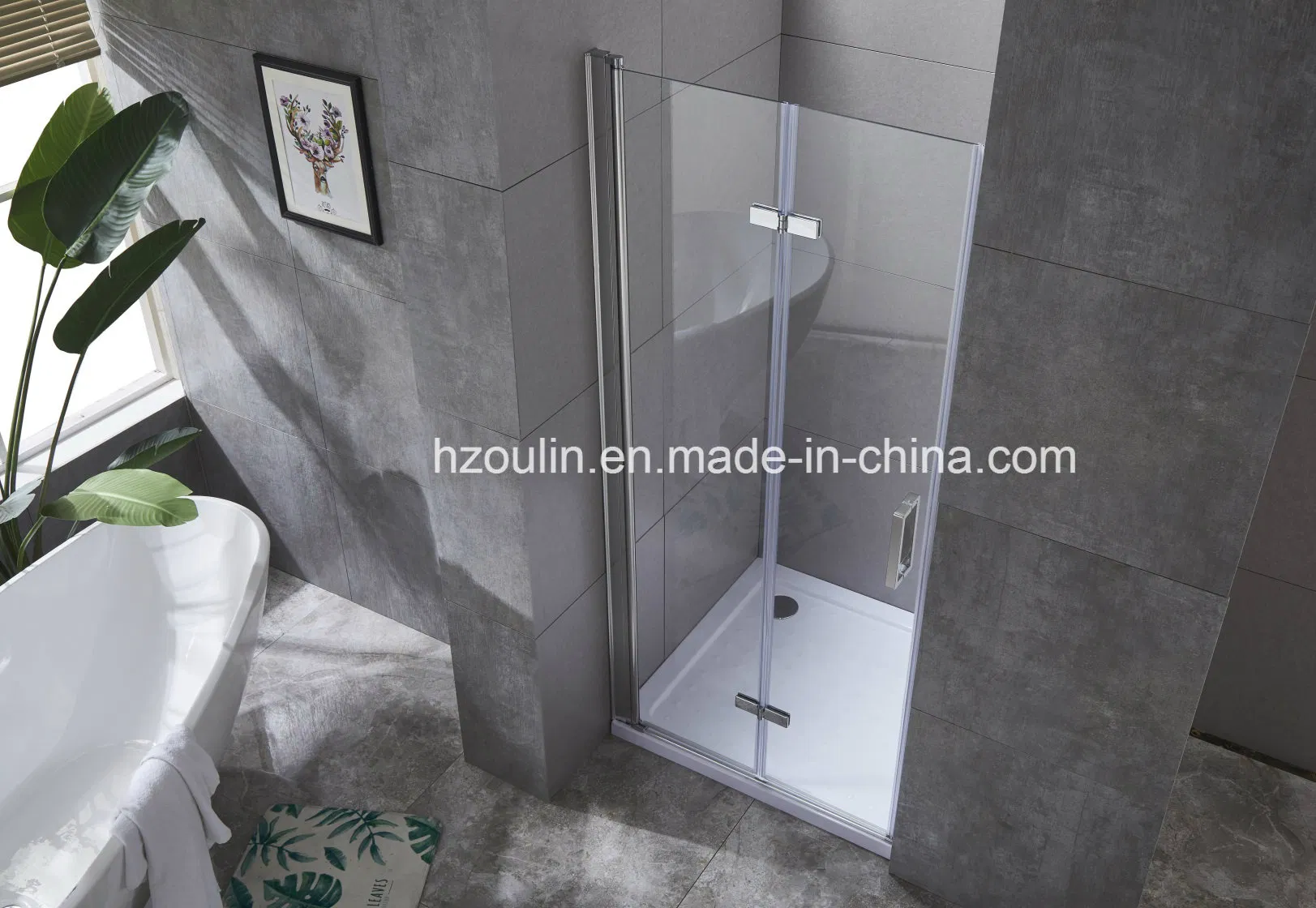 Shower Enclosure Door with Hinges