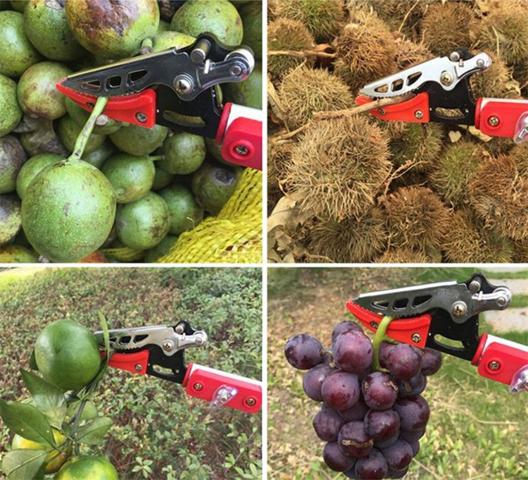 Long Handle Garden Trees Pruning Shears with Saw for Sale