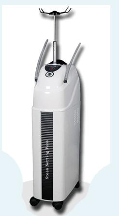 Steam Setting Perm (DN-9001)