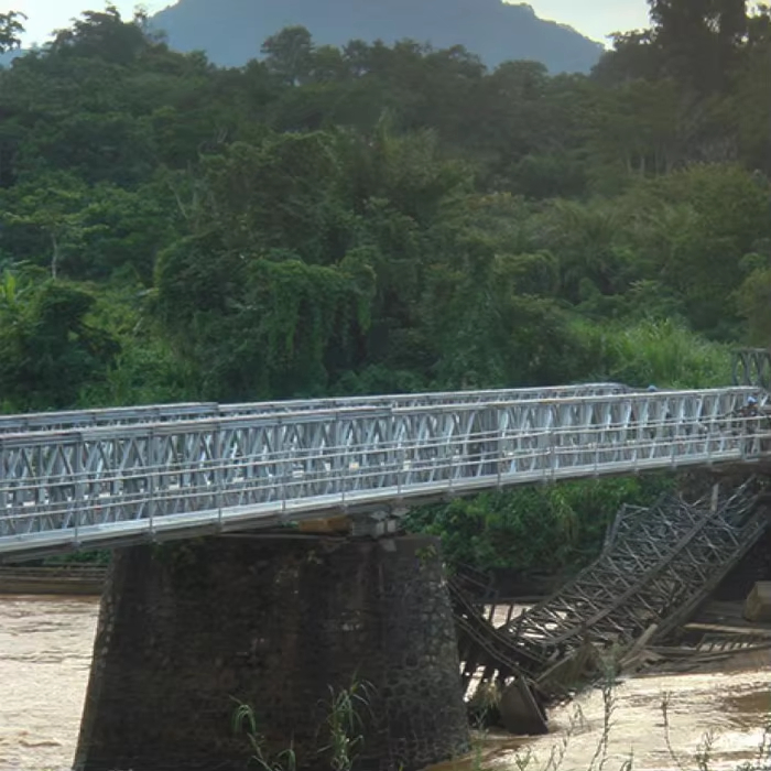 Ibeehive Steel Pedestrian Bridge Steel Bridge for Sale Bridge Steel Structure