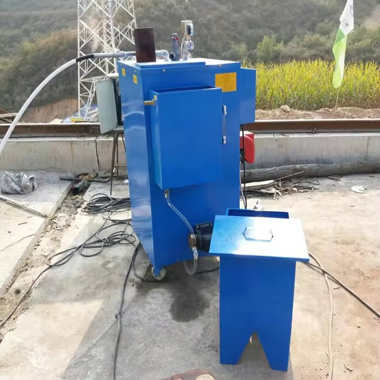 Ple Special Steam Generator for Bridge Construction and Maintenance