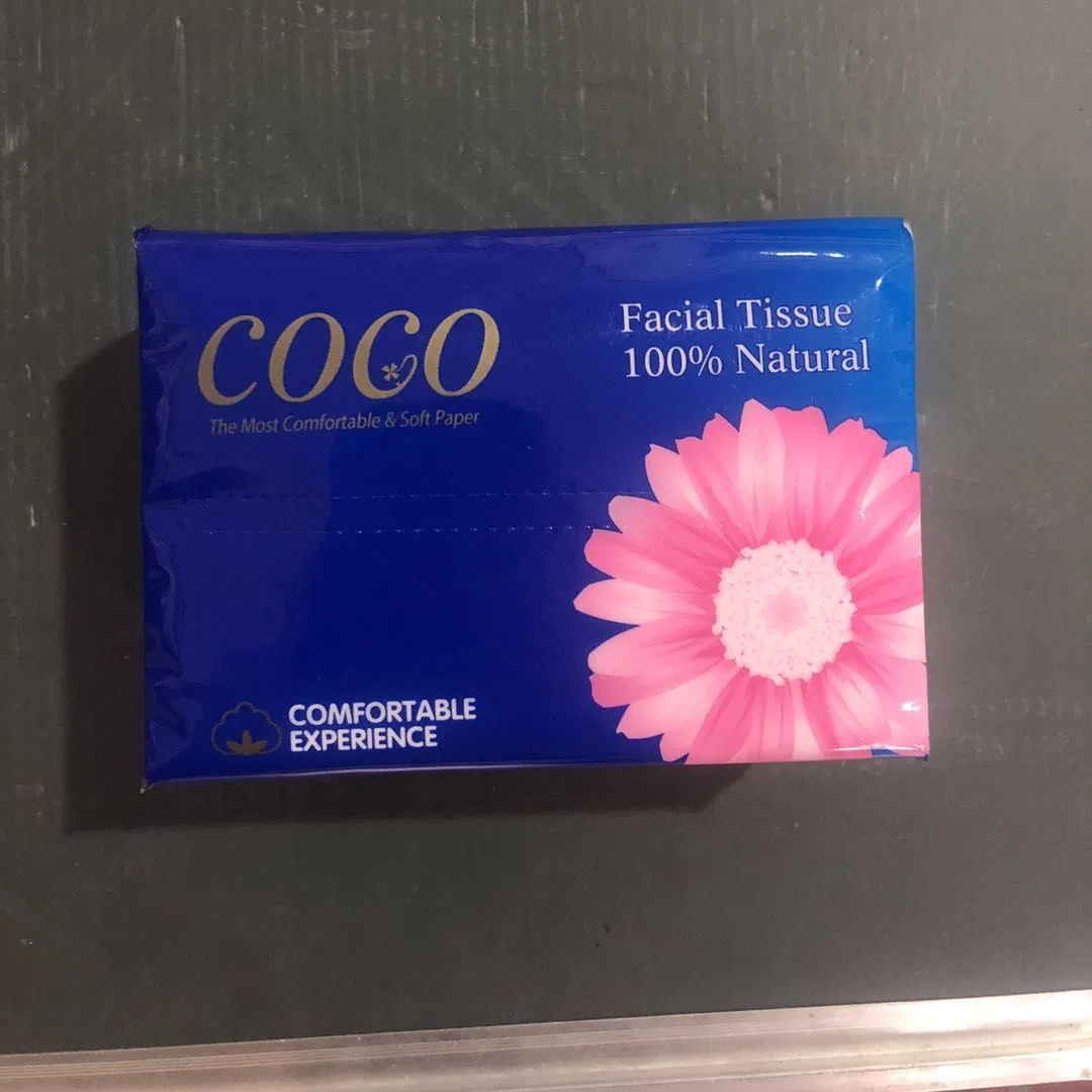 OEM Wholesale Eco-Friendly Custom Soft Premium Packet Facial Paper Tissue for /Home/Hotel/Office