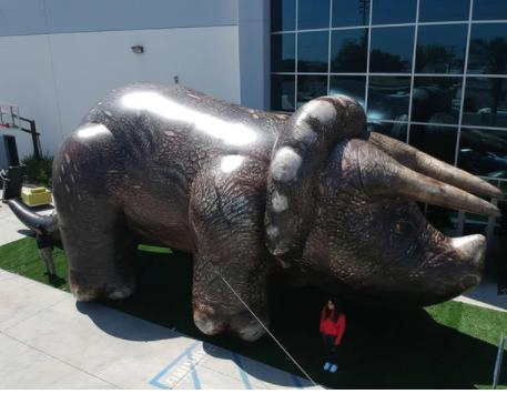 2023 New 10 FT. Giant Inflatable Realistic Cat
