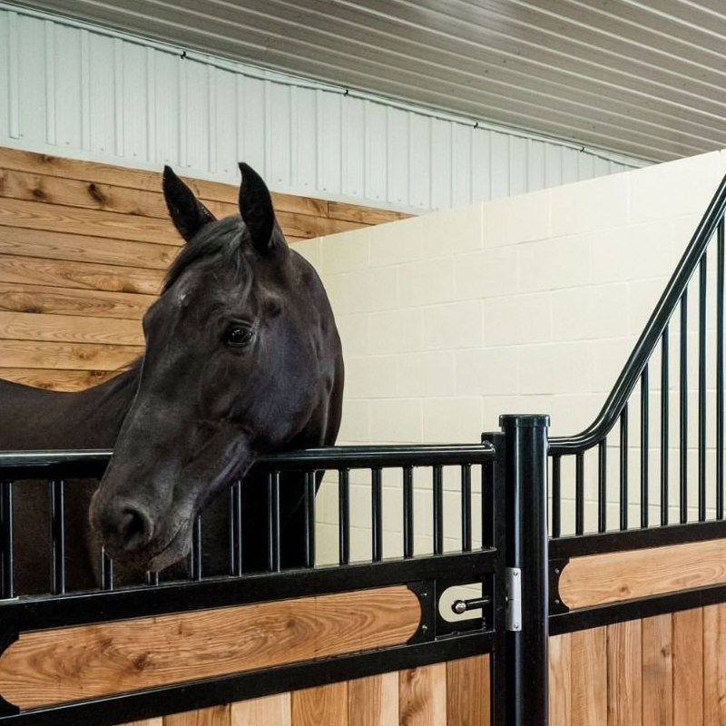 Horse Box Wash Barn Stall Steel Panel Custom Outdoor Horse Stable