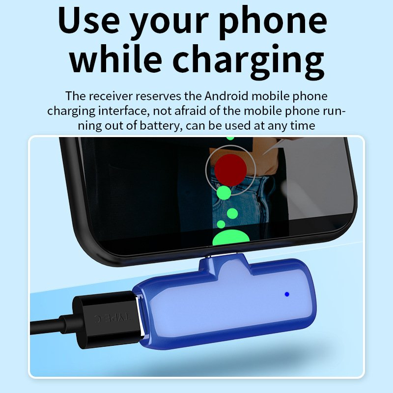 Small Portable Professional Recording Pen Microphone