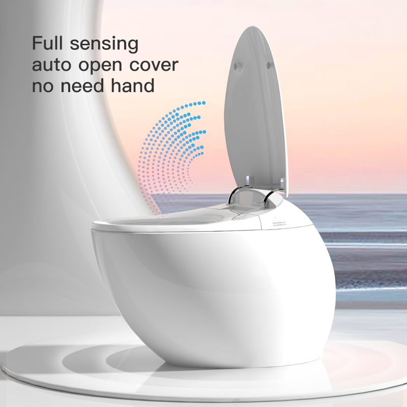 One Piece Waterproof Electrical Bidet Intelligent Automatic Warm Smart Toilet
