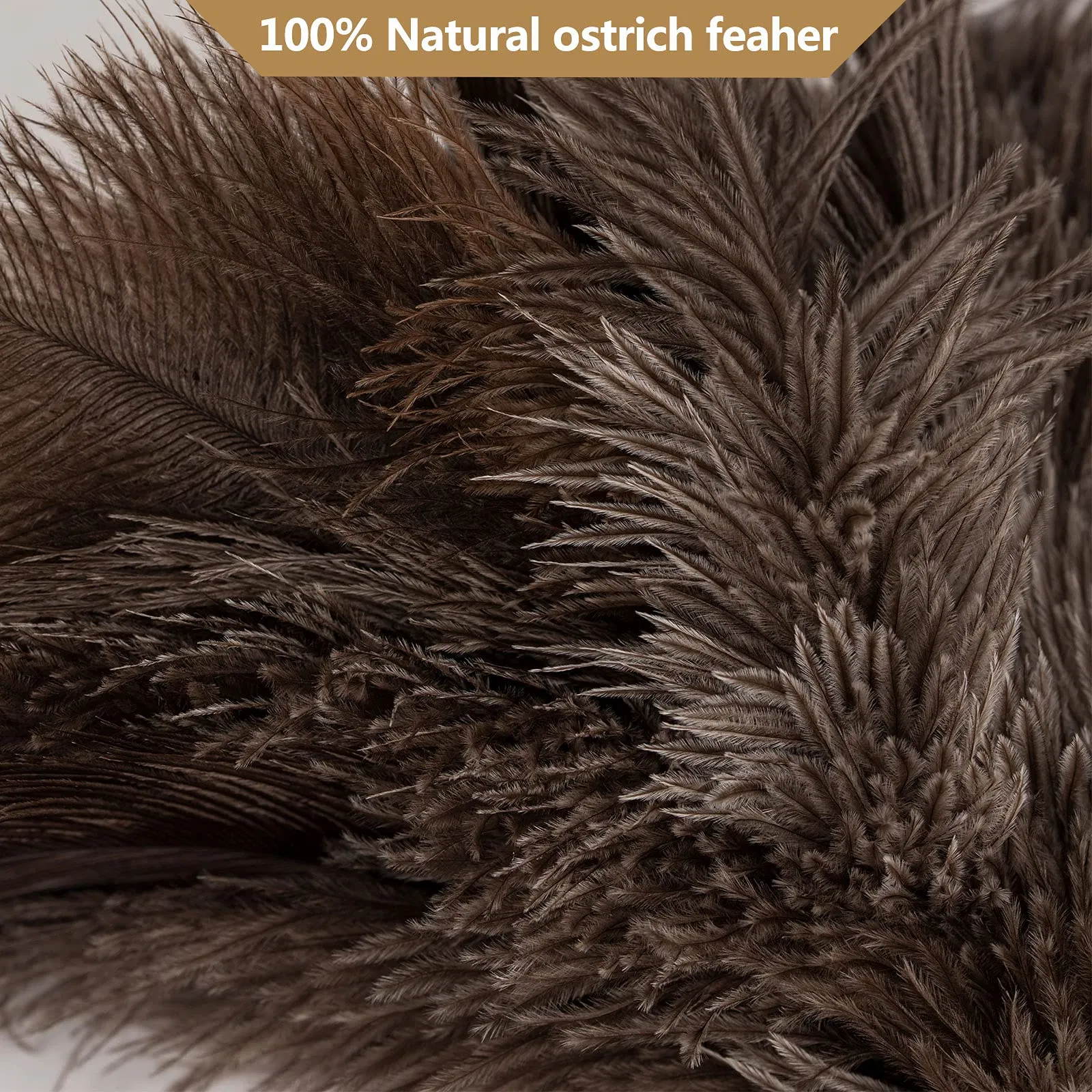 Wood Handle Reusable Fluffy Natural Cleaning Supplies Washable Ostrich Feather Duster
