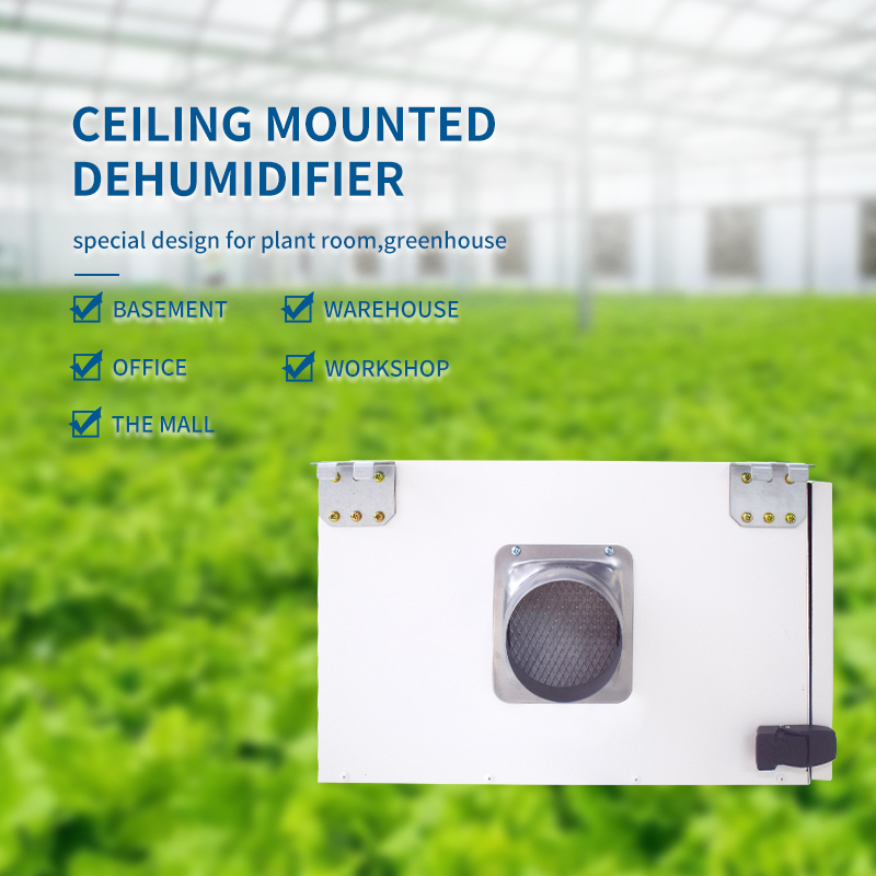 Efficient and Energy-Saving Dehumidifiers for Smart Home Offices