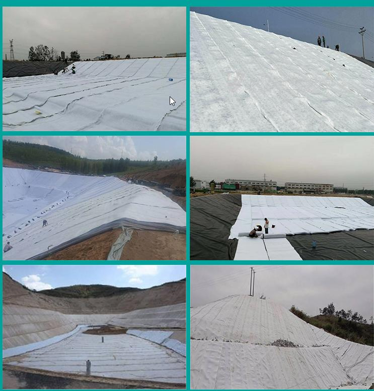 4mm 5.0mm 6.0mm 6.5mm Composite Network HDPE Drainage Geonet