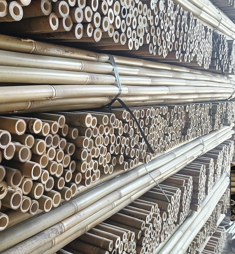 Bamboo Stake /Bambusstab Natural and Affordable Bamboo Poles From China