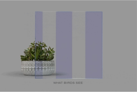 Curtain Wall Decorative Glass for Protecting Birds