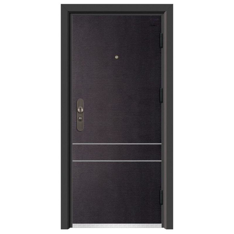 Exterior Steel Security Door Entrance Door Personal Custom Houseuse Door with Smart Lock