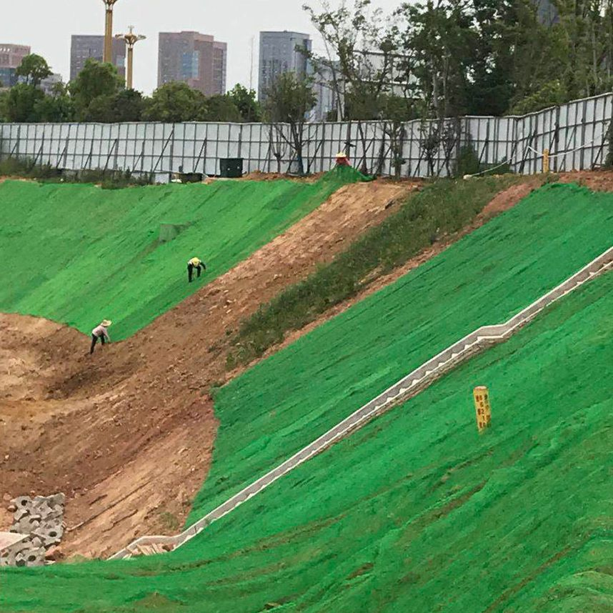 Saline Land Vegetation Net Eco-Friendly Durable Soil-Stabilizing Custom Specification Free Sample