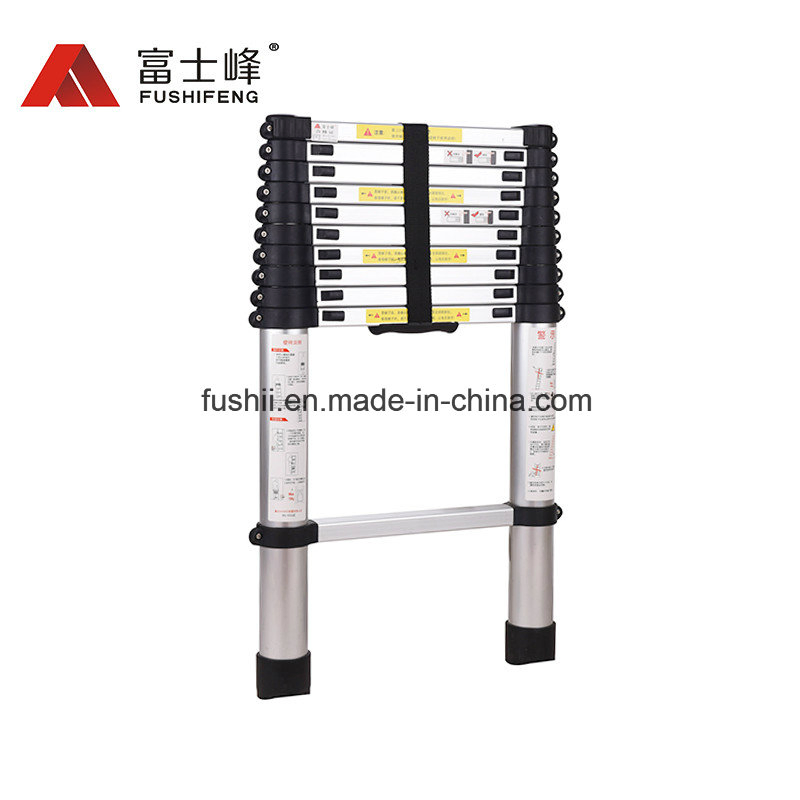 Fashion Telescopic Ladder with 6 Steps