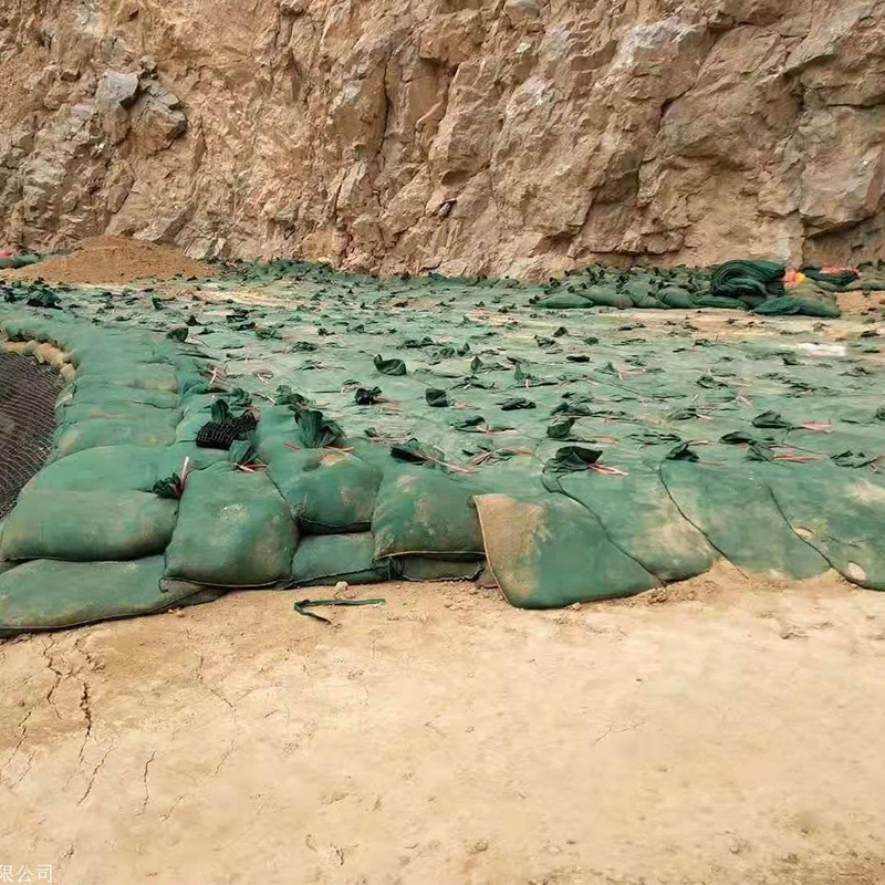 Durable Geotextile Geobag / Geosynthetic Bag Solutions for Riverbank Protection, Slope Stabilization, and Erosion Control by Chinese Experts