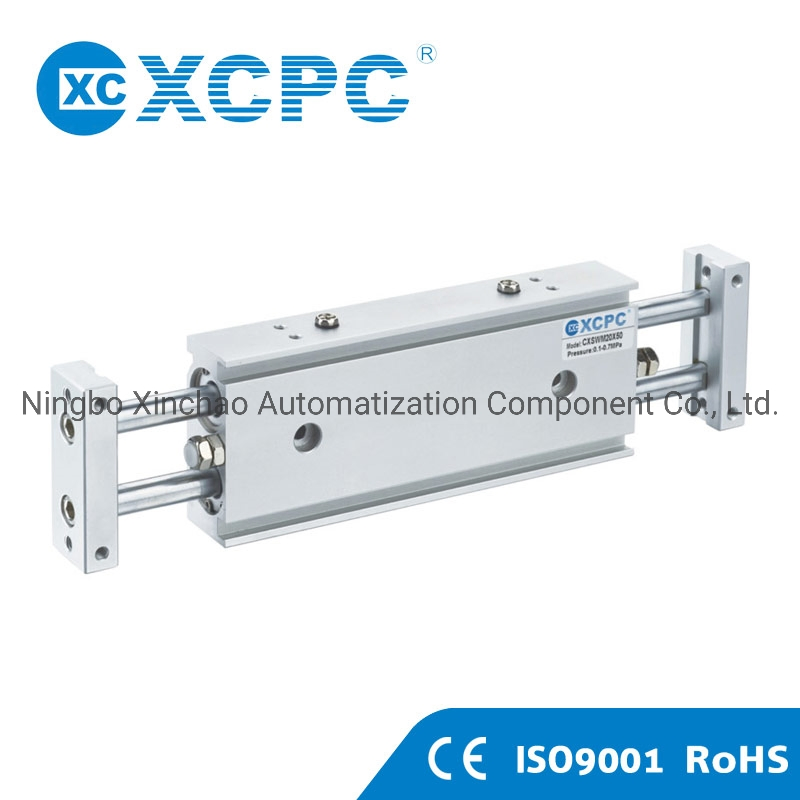 Пневмоцилиндр двухстороннего действия с двойным штоком