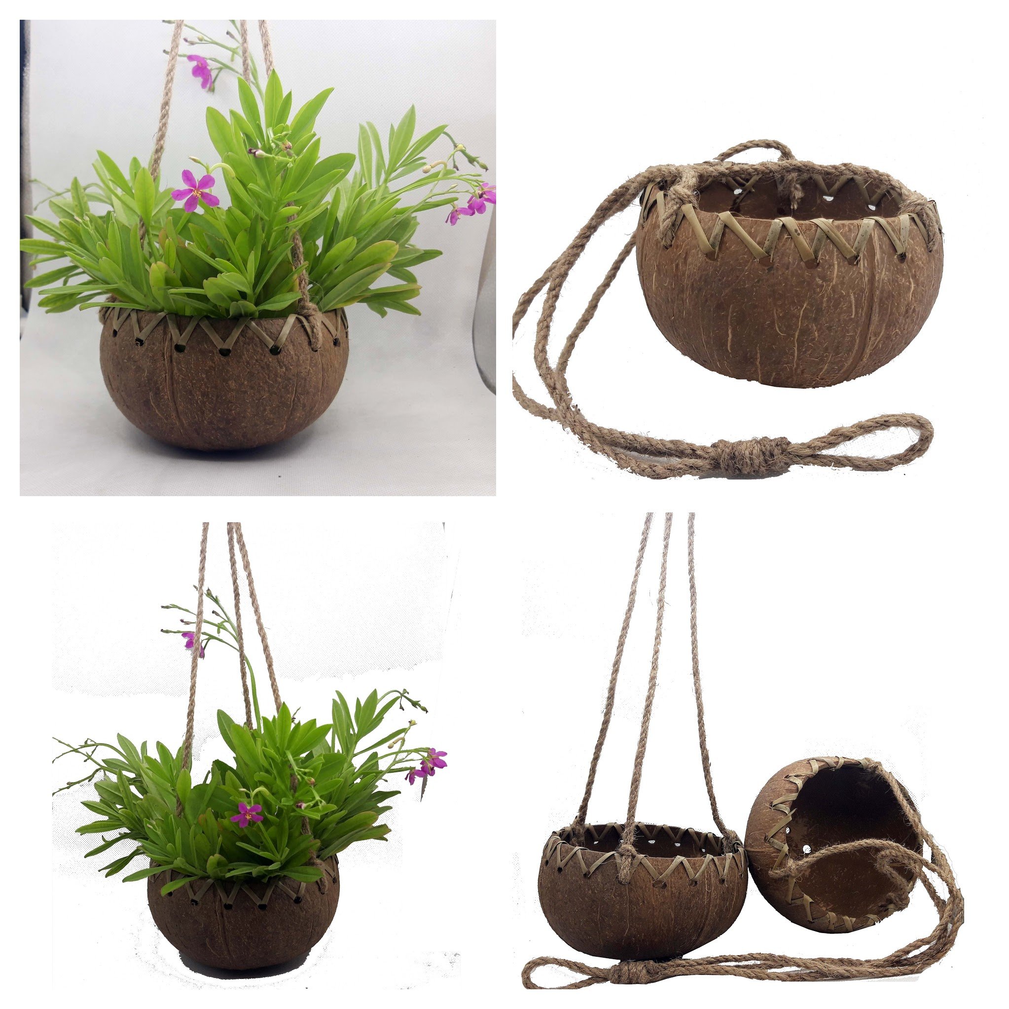 Горшки для растений уличные домашние