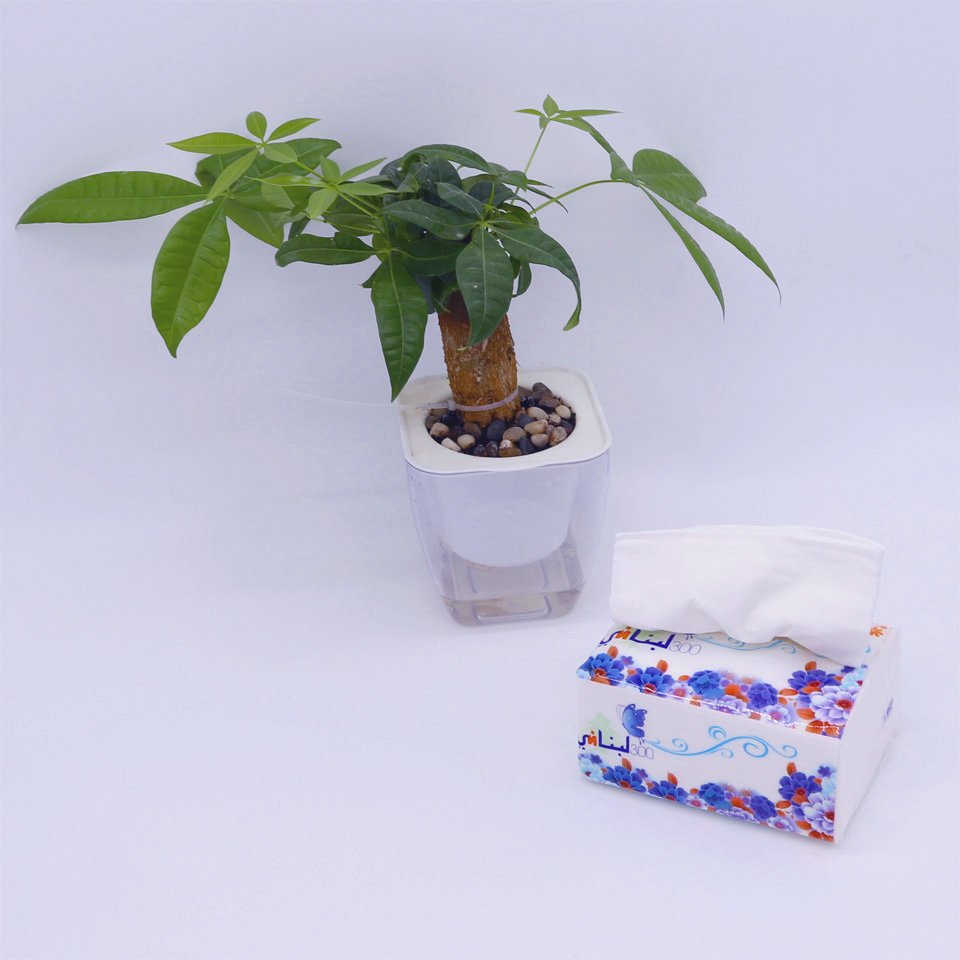 Bamboo Pulp Healthy Color Facial Tissues & Box Facial Tissue