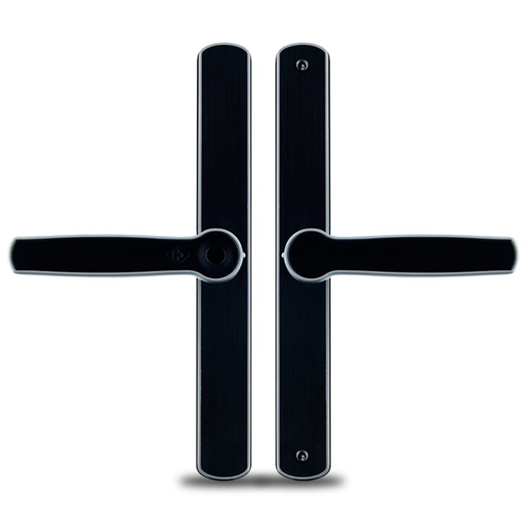 Residential Door Lock Fingprint Smart Lock for Villa with Unlock Detect Alarm