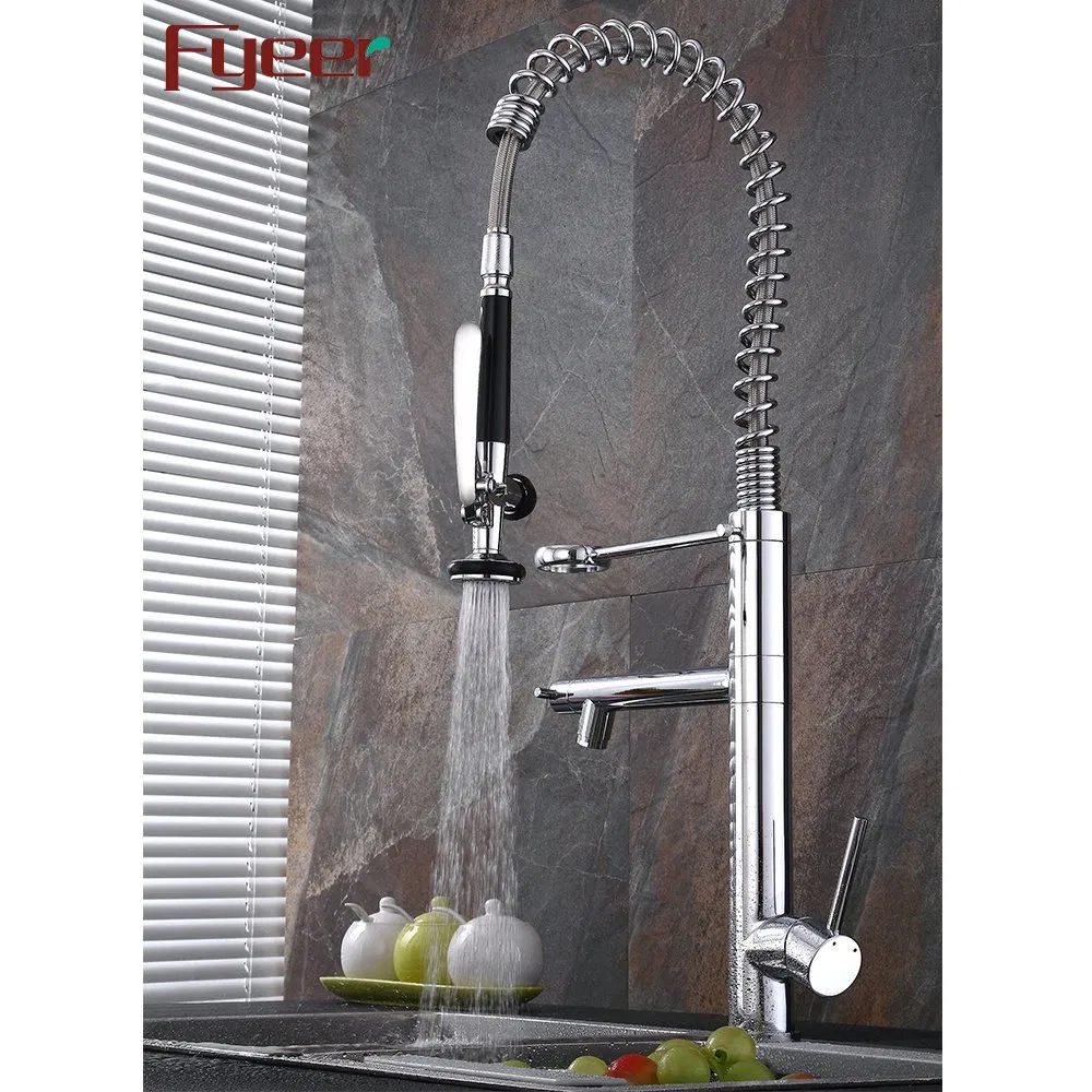 Fyeer Newest Double Spray Pull out Kitchen Sink Faucet