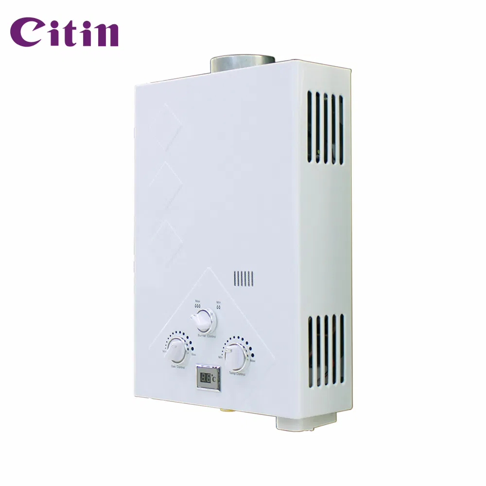 High-Perforamance Manual Control Flue Type Hot Water Heater 6-12L Capacity Copper Technology