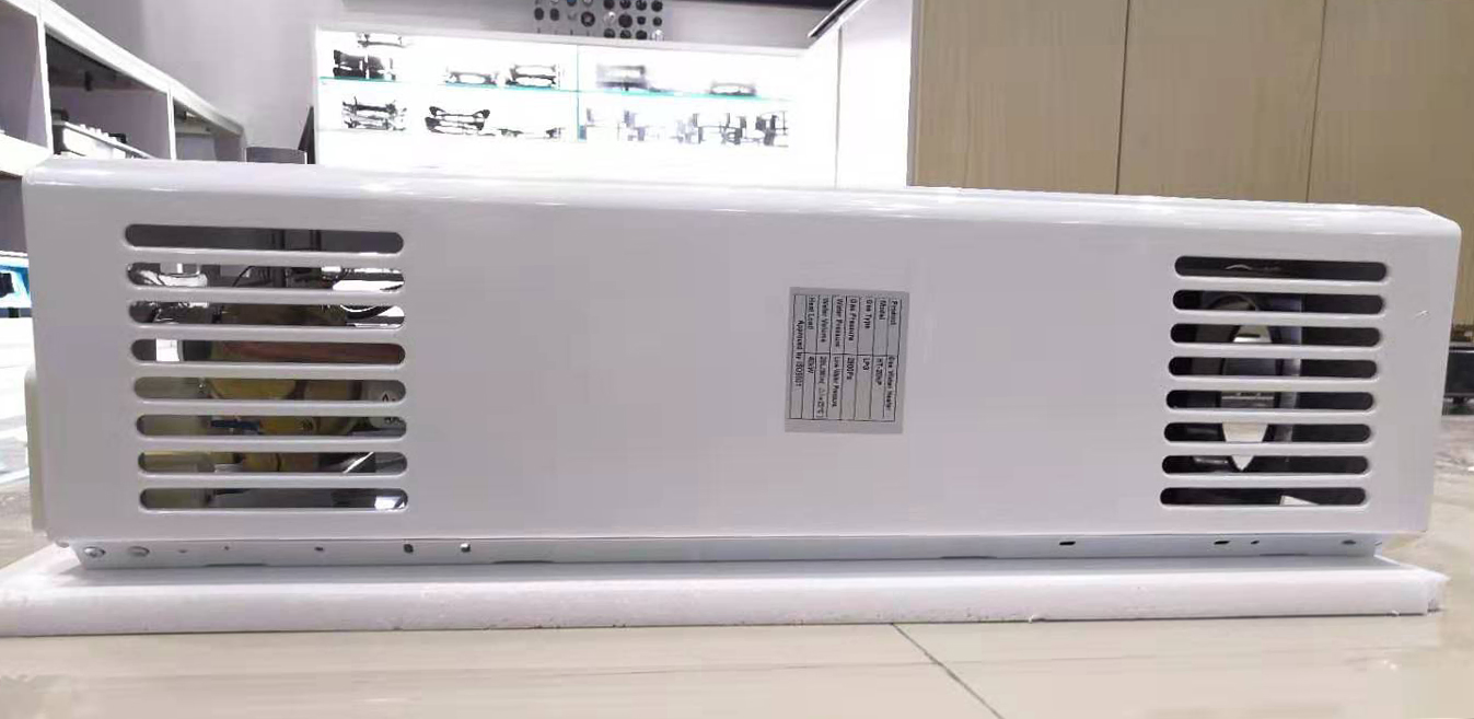 Настенный газовый водонагреватель 8L