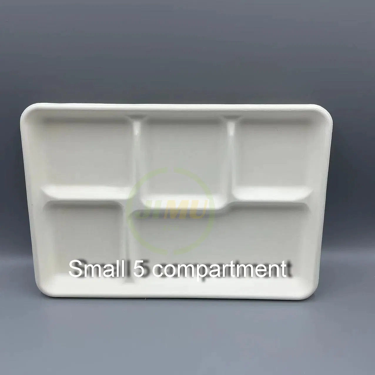 Biodegradable Small 5 Compartment Rectangular Disposable Separated Meal Plate