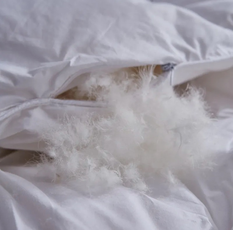 Luxurious All-Season Down Comforter for Cozy Sleep Experience