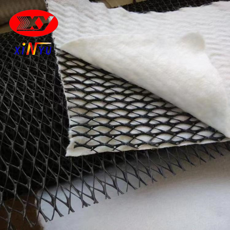 Good Quality Black Good Price HDPE Geonet with White Pet Geotextile for Drainage Project