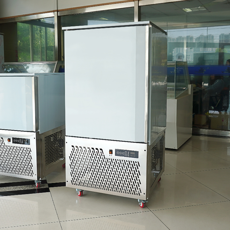 Compact Blast Freezer Ice Cream/Meat/Fish/Chicken Chiller-40 C 150 L 220L Trolley