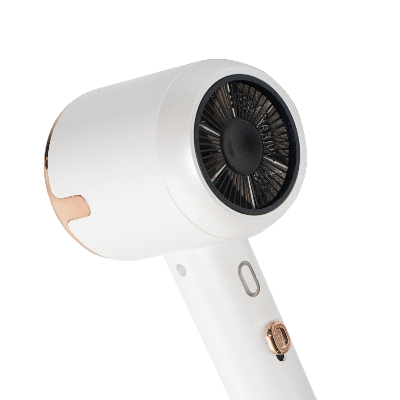 Personalizable Quick Drying Hair Dryer with CE Certification