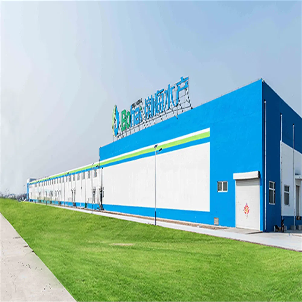 Light Steel Frame Workshop Warehouse Workshop Shed Column Beam for Warehouse