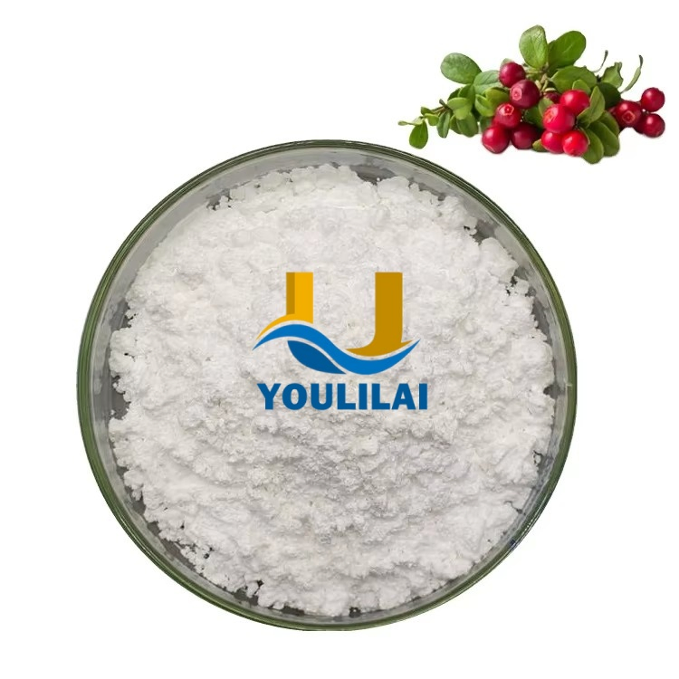 Alpha Arbutin Powder CAS 84380-01-8 Cosmetic Pure 99% Alpha-Arbutin Extract Skin Whitening