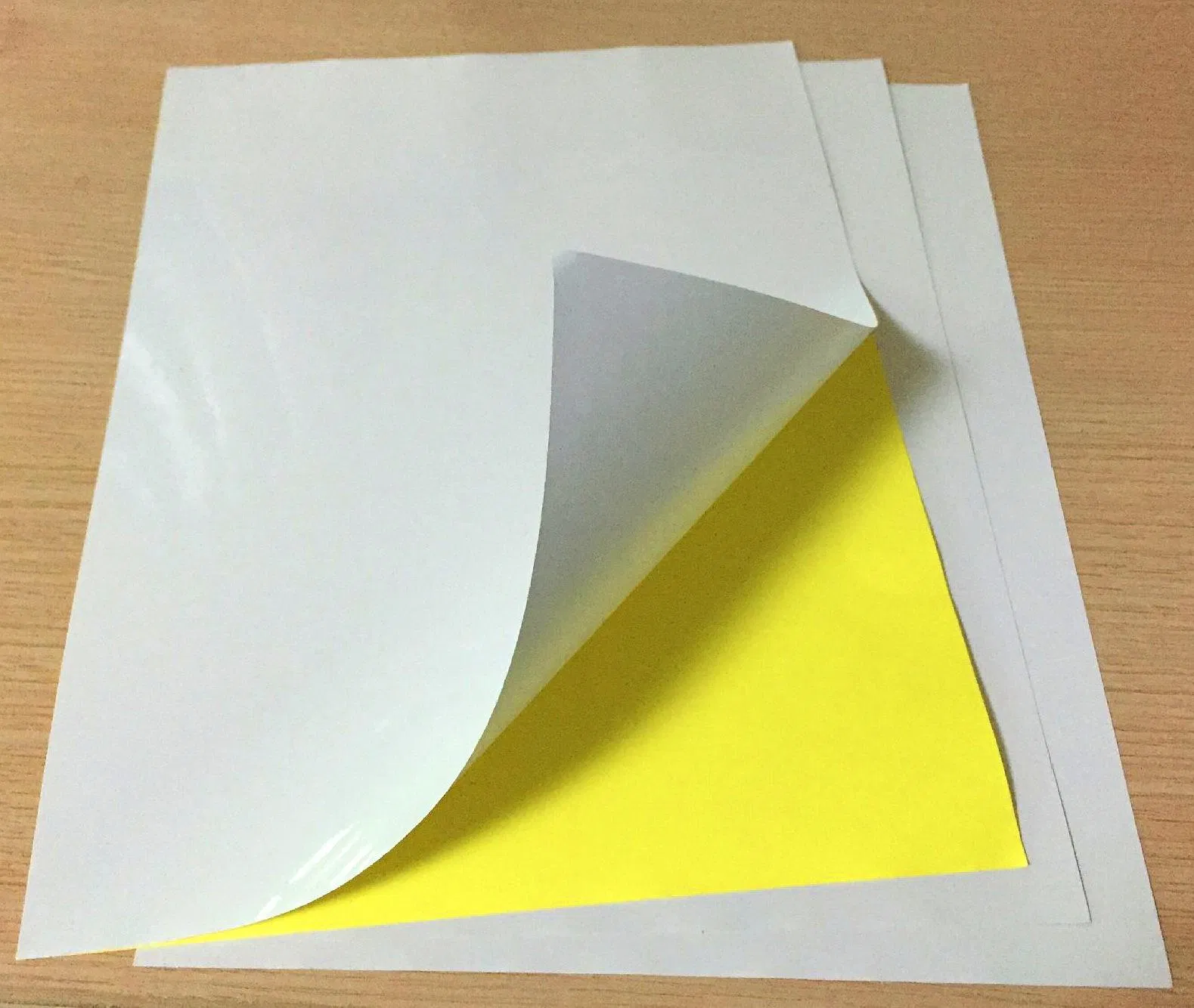 Cast Coated Sticker Paper with Gsf Brand or OEM