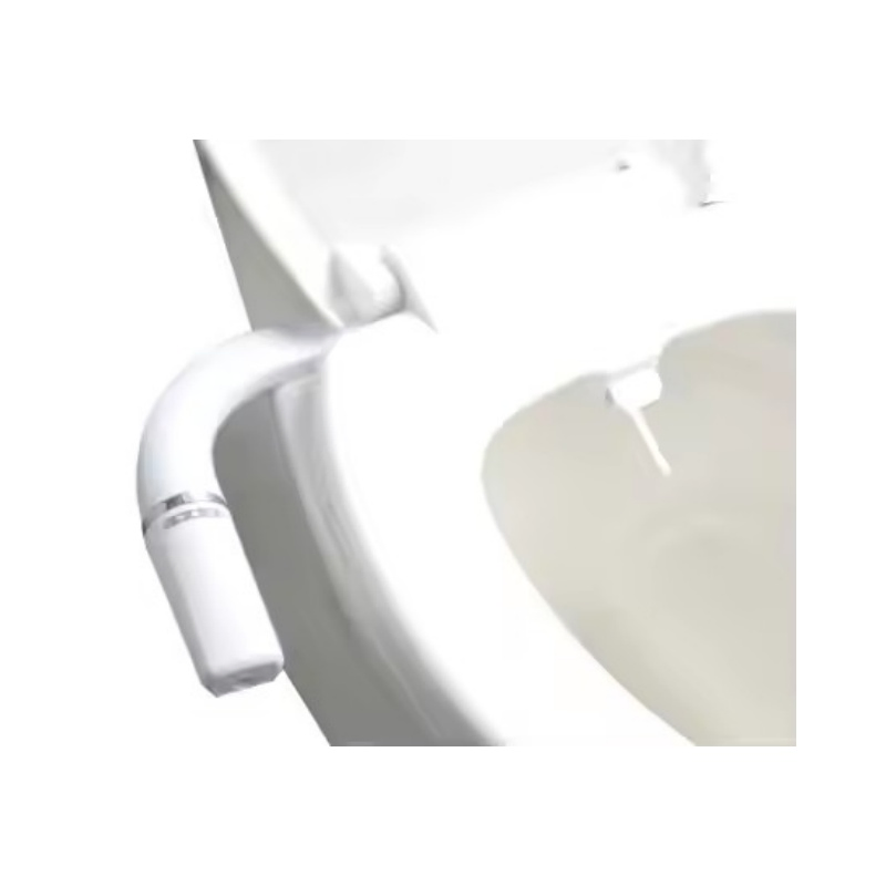 Best Toilet with Bidet Seat Installation Service Not Need The Plumber
