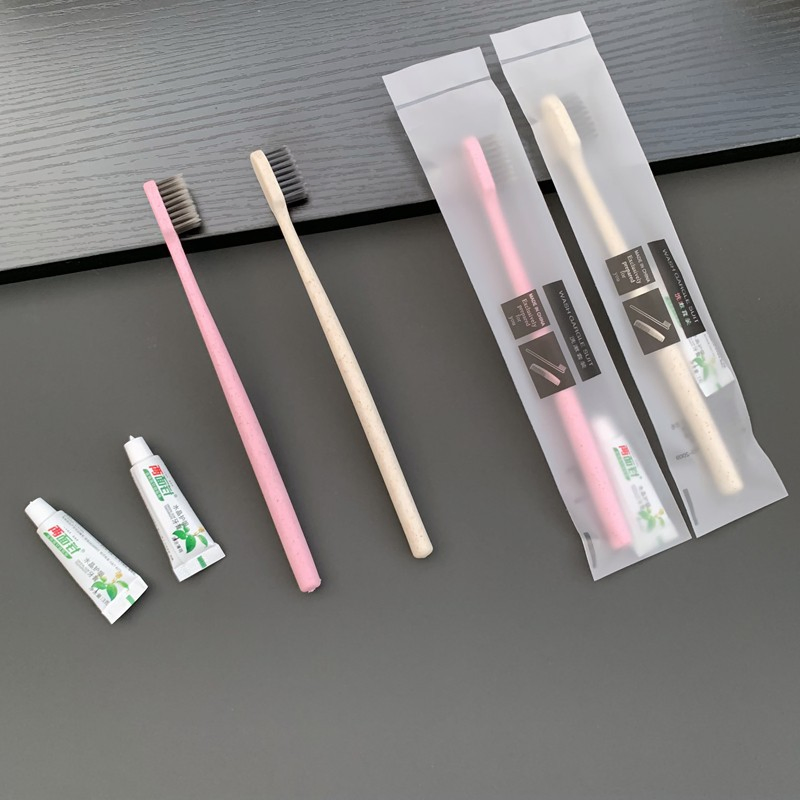 Travel Dental Kit Including Hotel Toothbrush and Mini Toothpaste