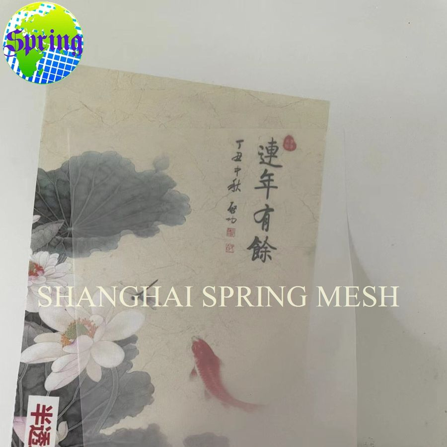 Factory Supply 200mesh Light Transmission, Dust-Proof, Insect-Proof Mesh Fabric with Perspective Partitioning