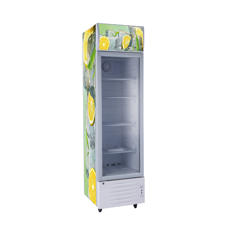 Upright Showcase with Glass Door and 12V DC Compressor LC-268 Solar Panel Battery Cooler