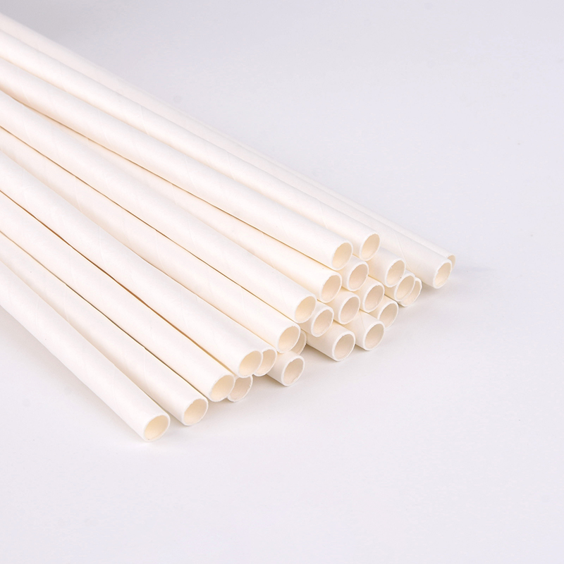 Party Disposable Compostable Paper Straw with Plain White Color